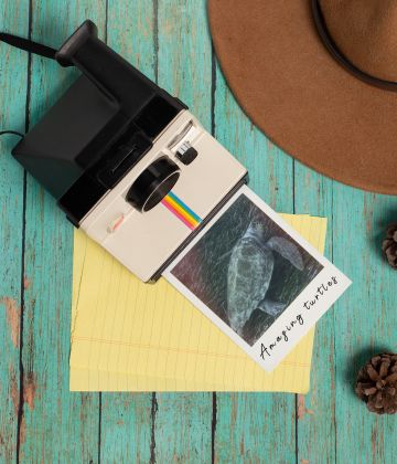 Polaroid prints x24