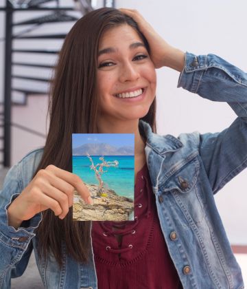 Pack of 24 pictures of your cruise